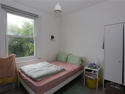 Picture 8